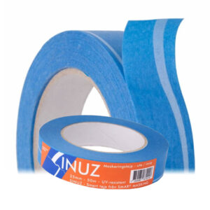 Sinuz