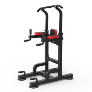 Dips/Chins/Gym/Pull Ups Ställning